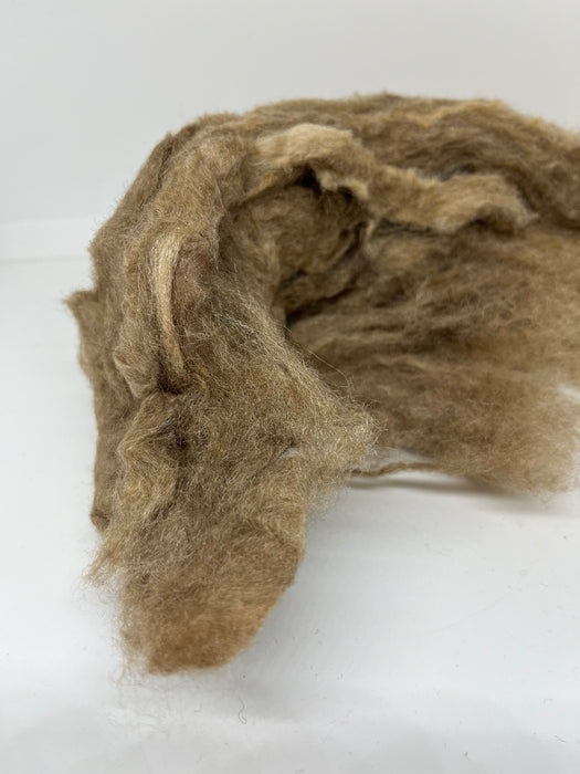 Tussah peduncle silk carded fibre